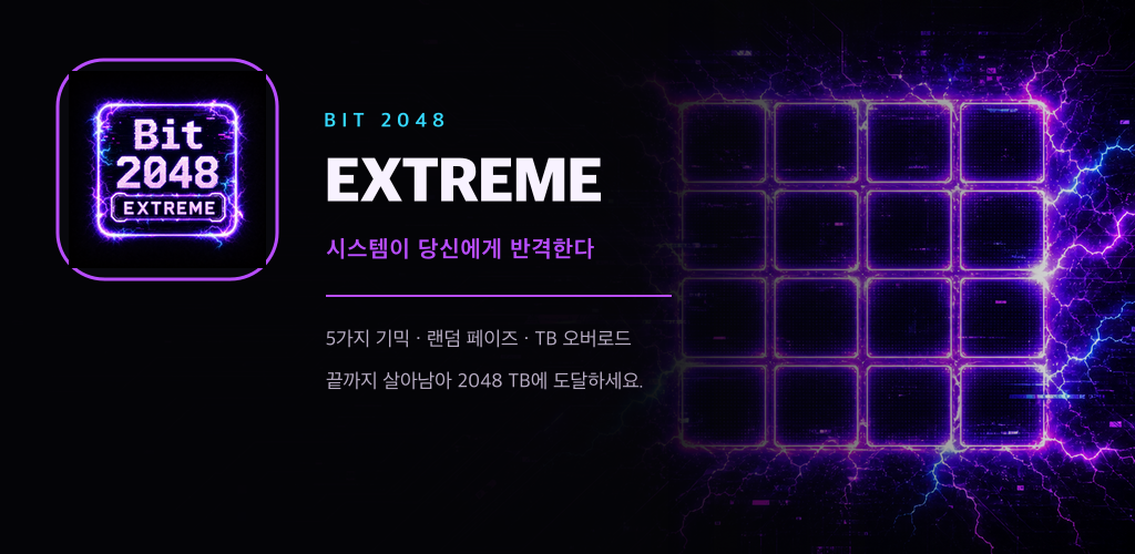 Bit2048 Extreme 피처 그래픽